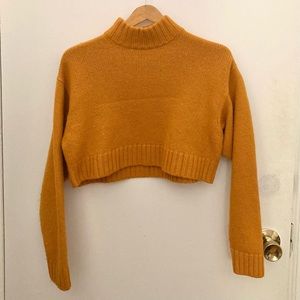 Wilfred medium orange turtleneck.